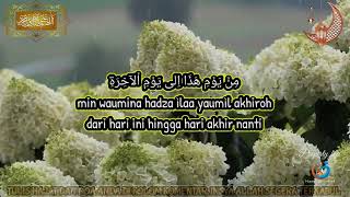 Download lagu Hams channel Live Stream mp3