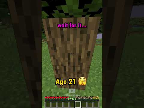 Minecraft Iron: Insane Traps at Every Age! 🤯