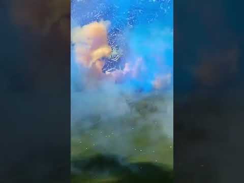 "¡Terrible recibimiento de Rosario Central ante Newell’s Old Boys en el Gigante de Arroyito!" Barra: Los Guerreros &bull; Club: Rosario Central &bull; País: Argentina