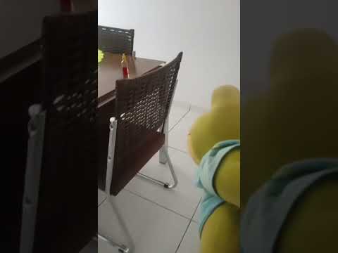 voar voar subir subir sapinho 2.0 voando