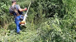 STIHL FS 560 C-EM (41482000013) - відео 1