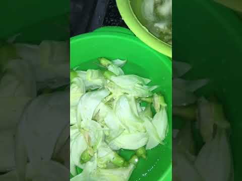 comida ilocano (katuday, papait, tinapa ken naimas nga sawsawan) O melhor!