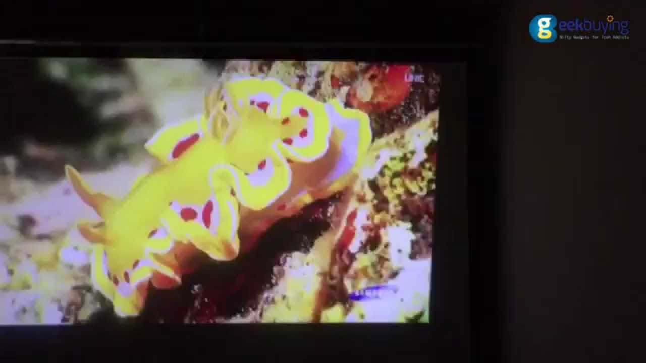 Youtube Video Preview