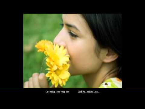 Tháng mười hoa cúc - Thùy An