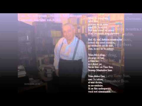 Vino, Te asteptam - Nicolae Moldoveanu