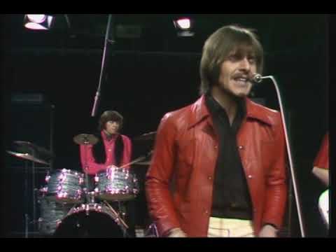 Flowers in the Rain - The Move
