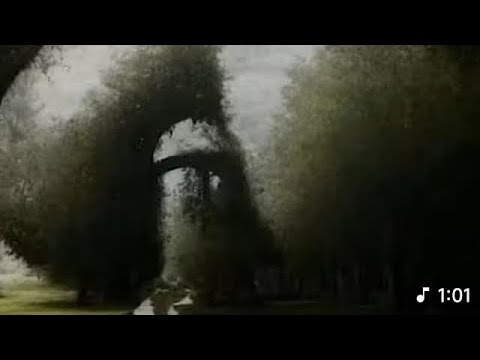 XXL XXL XXL XXL FREESTYLE 2024 |XXL 2024 | Xxwd5000xa | XXL XXL XXL XXL FREESTYLE