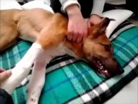 Dopo mesi di isolamento e sono mal di schiena Quando si tossisce fa male terzino sinistro