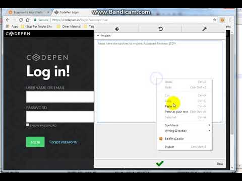 Session Hijacking In Codepen