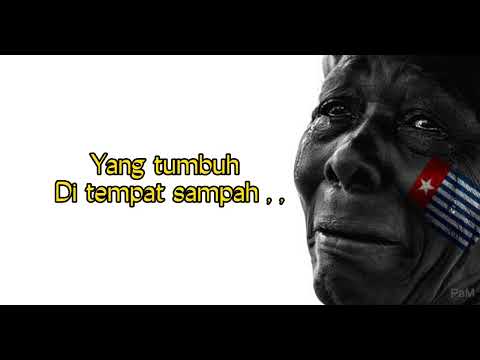 Petrus-Nuboba_Tanah Yang Penuh Misteri^🎵@kakibaabu_kbu9844#lagupopterbaru2022