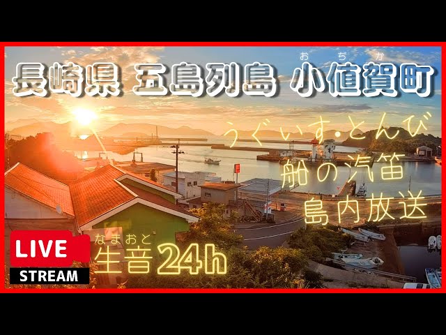小値賀島の港