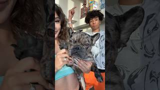 MEET PLUTO - PURE BREAD GOOD BOY🖤 Prymrr & @KaneBailey