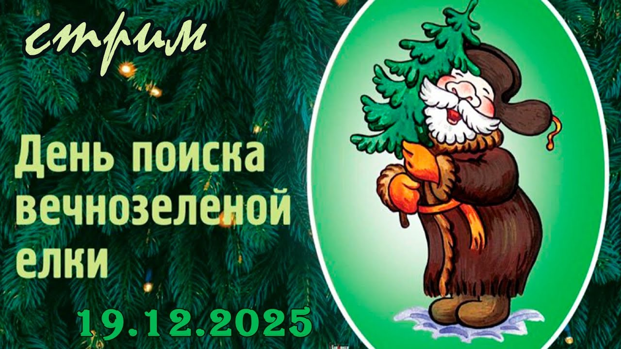 Пятничный ночной стрим (12.12.2025) День поиска вечнозелёной ёлки