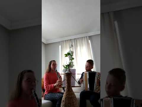 Anna & Michael Lugstein (Klarinette und Steirische)