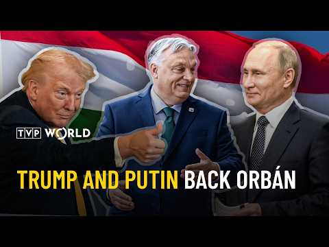 Trump and Putin join forces to save Orbán from electoral defeat | News In Depth