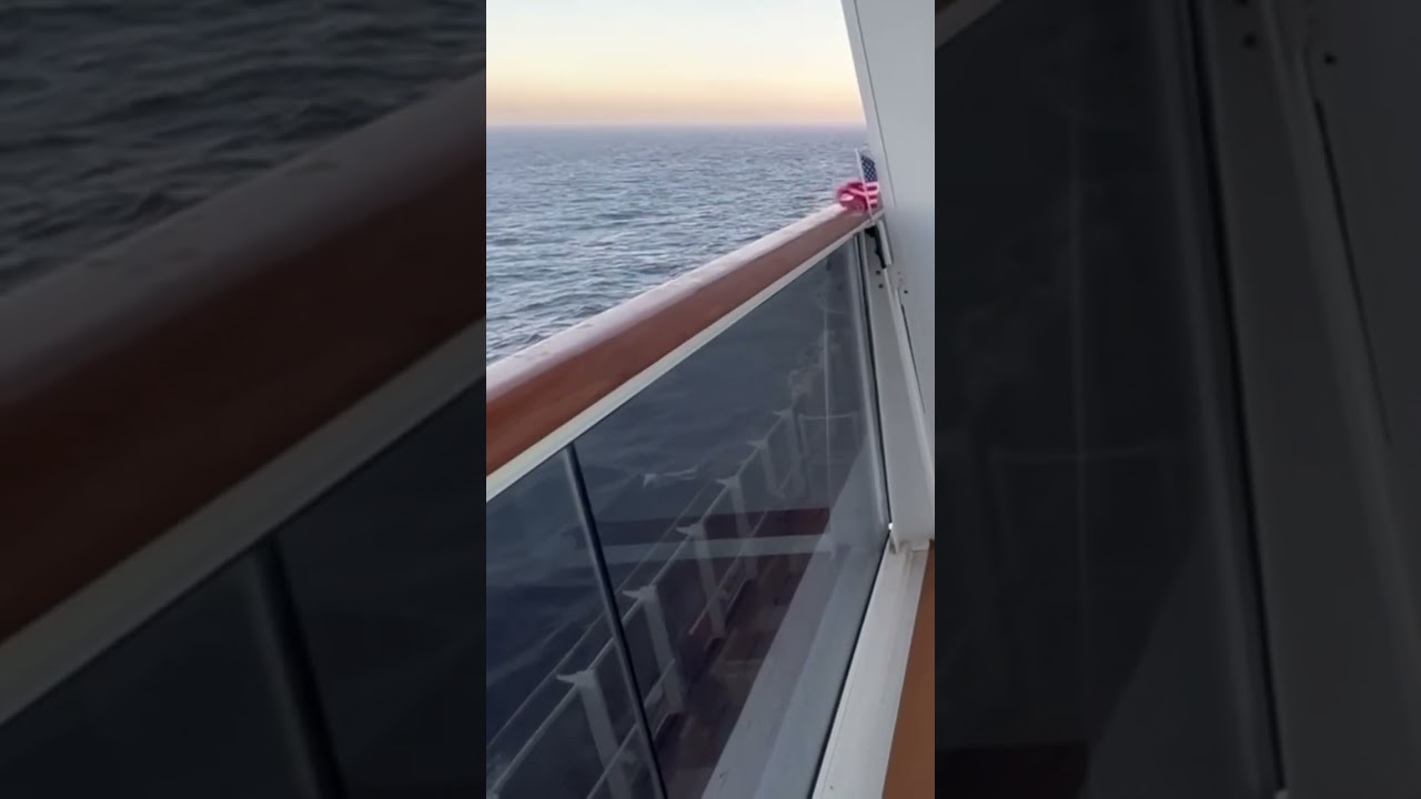 Carnival Panorama - Cabin 7341 - Video 2