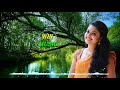 அடி ஆத்துக்குள்ள அத்திமரம் Adi Aaththukulla Athimara