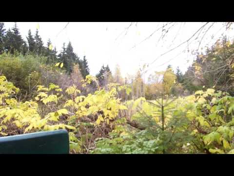 Stempelstelle 46 Grenzmuseum - Harzer Wandernadel