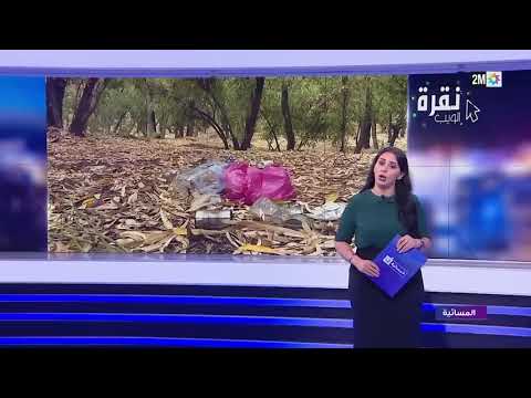 دوزيم تسلط الضوء على غابة الحوزية من خلال برنامج 'نقرة الويب'