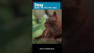 SHORT GAMES When You Have No Time: Stray