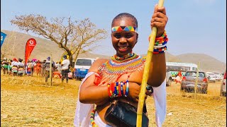 Zulu Dancers Reed Festival