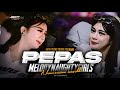 DJ PEPAS FARRUKO VIRAL TIKTOK MELODY NAUGHTY GIRLS STYLE FULL BASS PARTY HOREG MENGKANE TERBARU