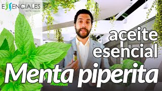 aceite de menta