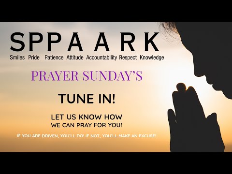 SPPAARK: Difficult But Well Worth It