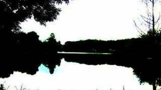 Celestial Season - Ophelia