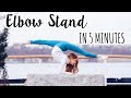 How To Do An Elbow Stand In 5 Minutes