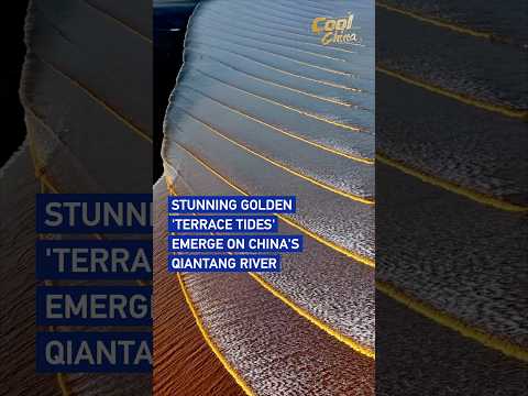 Stunning golden 'terrace tides' emerge on China's Qiantang River  #coolchina
