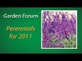 Project Green: Perennials for 2011 