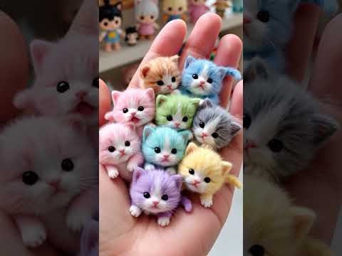Tiny Rainbow Kittens in My Hand 🐾🌈