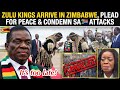 SHAME ️ ZULU KINGS ARRIVED IN ZIMBABWE PLEADS WITH THE GOVT FOR PEACE CONDEMNS SA ATTACKS