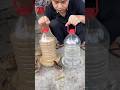 Homemade Chicken Feeder & Drinker from Plastic Bottles – Budget-Friendly Poultry Hack