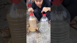 Homemade Chicken Feeder &amp; Drinker from Plastic Bottles – Budget-Friendly Poultry Hack