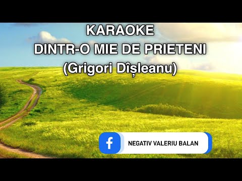 Grigori Dîșleanu - Dintr-o mie de prieteni (KARAOKE)