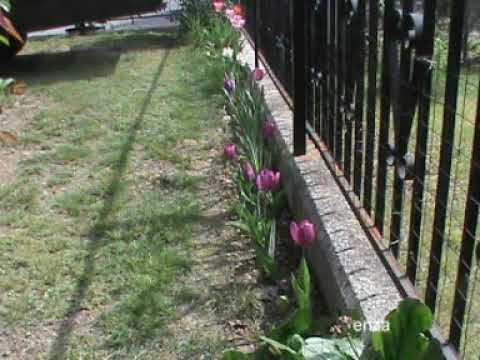 U QUADARARU  -  Folk calabrese   Cosenza