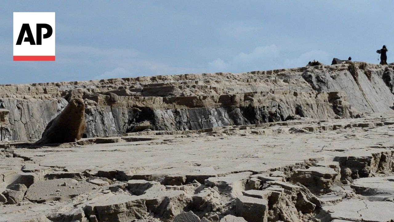 Shift observed on Trinidad shoreline after Venezuela earthquakes