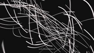 Herbstlaub (2007)