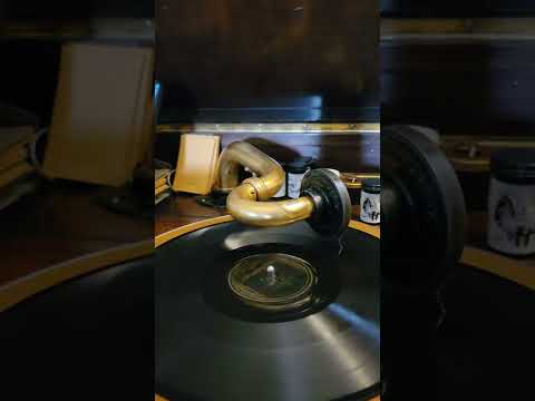 In The Evening - Meyer Davis Swanee Syncopators Brunswick Records #3938 1928