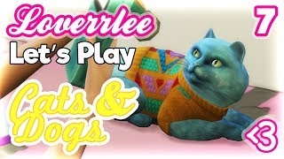 Cats & Dogs #7: Poor Parents