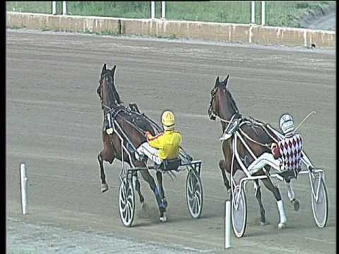 Trotto 17/04/2017 - 8ª corsa