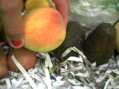 Local Box: Aug 1 - 5