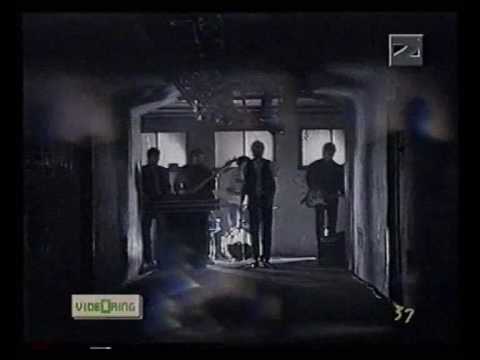 Martin Krpan - Mali bogovi