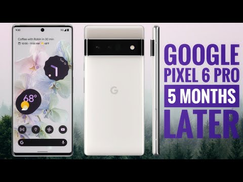 Google Pixel 6 Pro Review- 5 Months Later | Getting BETTER with Time