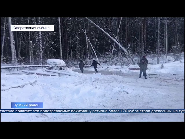 Черные лесорубы