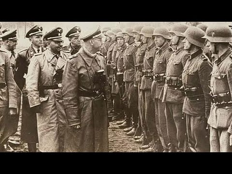 Hitler henchman Himmler's diary extracts found