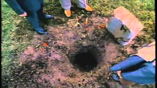 Buried Alive (1990) Video