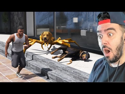 KOMŞU KÖPEGI ÖRÜMCEK OLDU CHOPU ISIRDI - GTA 5 MODS